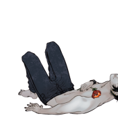 m:m