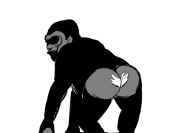 黒川散歩
