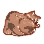 秋山まりも