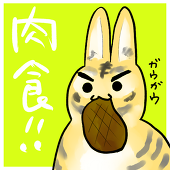 ℃文子