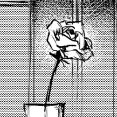 🌹