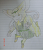 DIOタブンネ