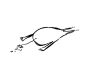 禾
