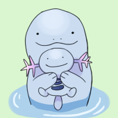 ミーコ