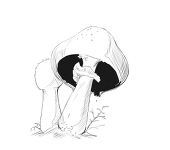 ぼまいえ