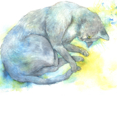 猫原 クロ
