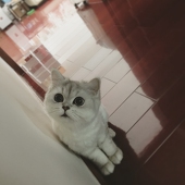 MAKIちゃん