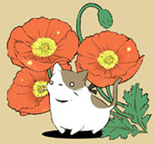 yazaわん