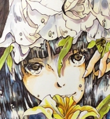 雪凪