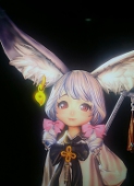 Maio_淘淘楊