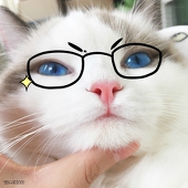 ハク