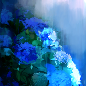 蓮水薫