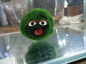 か