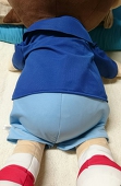 江戸川蝶華