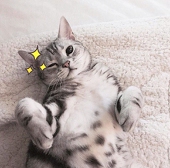 リーパチェイ(￣ω￣)/
