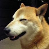 maimoi