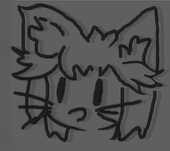 鸟块