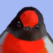 銀鳥堂