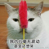 yubanQ