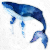 そら