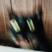 からみ大王