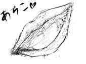 あちこ