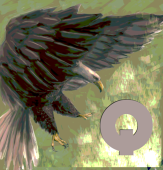 Ｑｕｒｏｄａ