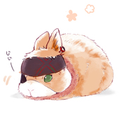 さぬ