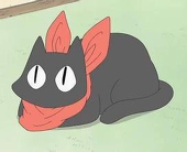 木驴君