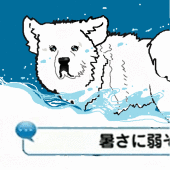 ひのもと桜