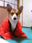 hiroha_subaru