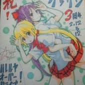 のどっちjp