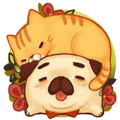 工口猫