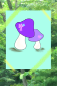 紫シメジ