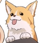 ノイ子
