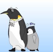 ぶな