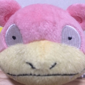 あこぎ