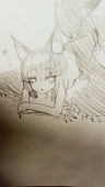 たぬき