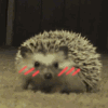 罪
