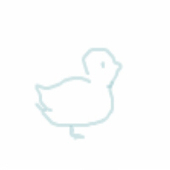 鳩