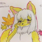 九狸