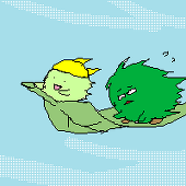 はち