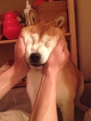 gulleygullet