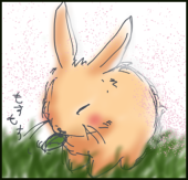 阪井