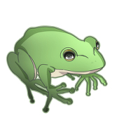 鈍蛙