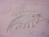 低能あろ子