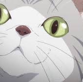 かーくん