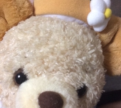 まろりーぬ