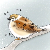 しゅある