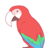 カド